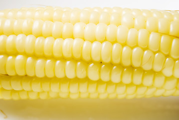 Image showing Corn Cob