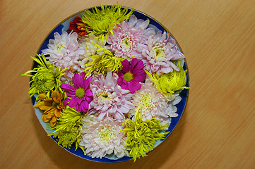 Image showing Flowers in bowl