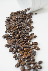 Image showing Coffee Beans