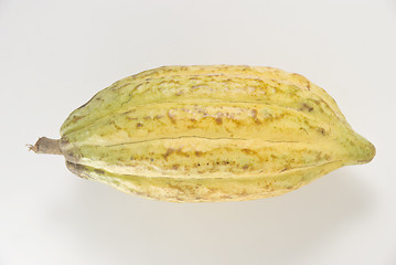 Image showing Cacao Fruit