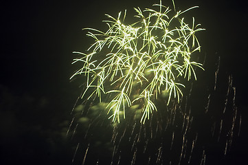 Image showing Fireworks