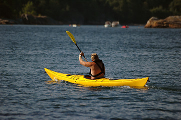 Image showing Paddle