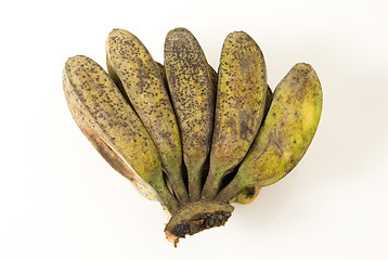 Image showing Bananas