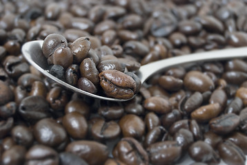 Image showing Coffee Beans