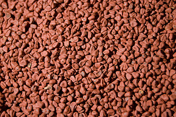 Image showing Annatto