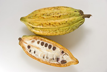 Image showing Cacao Fruit