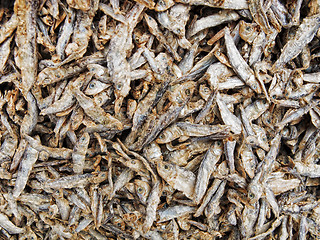 Image showing Dried Fish