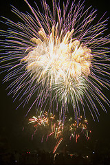 Image showing Fireworks