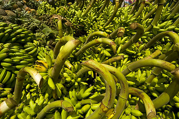 Image showing Banana