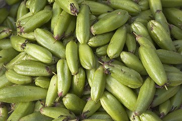 Image showing Bilimbi