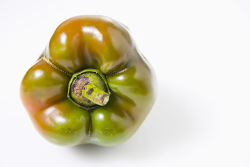 Image showing Bell Pepper