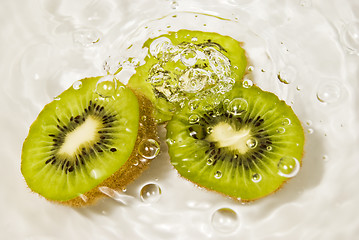 Image showing Kiwi