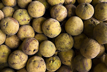 Image showing Santol Fruit