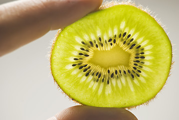 Image showing Kiwi