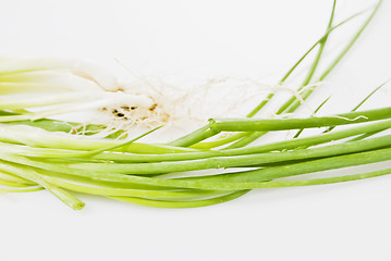 Image showing Spring Onions