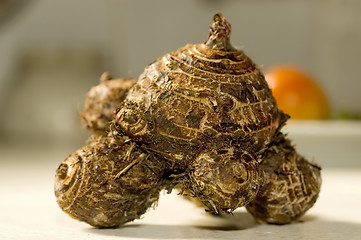 Image showing Taro