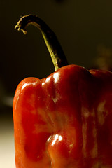 Image showing Bell Pepper