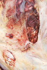 Image showing Ox Meat