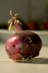 Image showing Onion