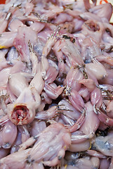 Image showing Frog Meat