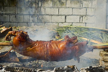 Image showing Roast Pig