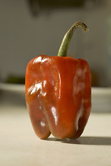 Image showing Red Bell Pepper