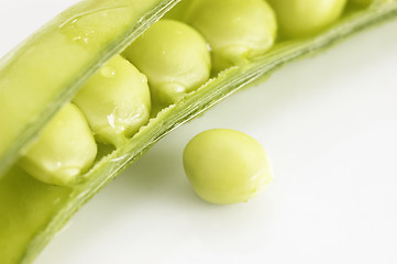 Image showing Green Pea