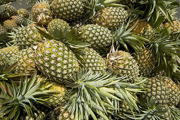 Image showing Pineapple