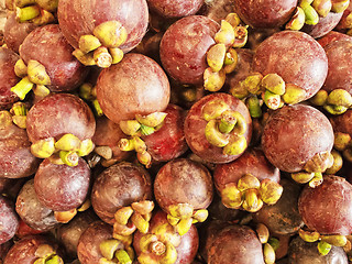 Image showing Mangosteen