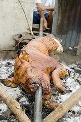 Image showing Roast Pig