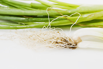 Image showing Spring Onions