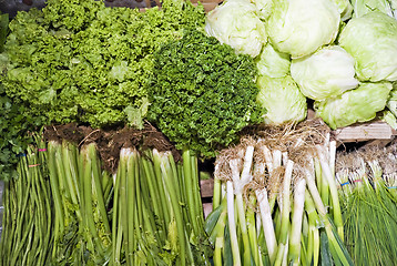 Image showing Green Vegetables