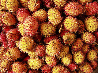 Image showing Rambutan