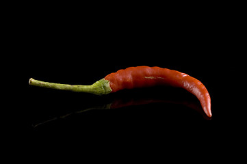 Image showing Red Hot Chili