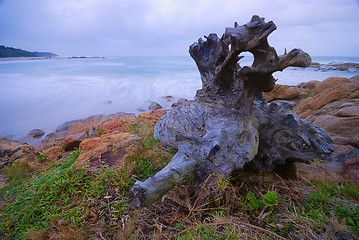 Image showing Seascape in South Africa