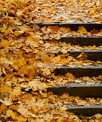 Image showing Stairs in Autumn