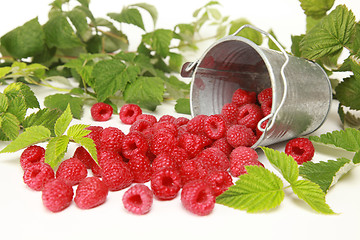 Image showing Raspberries