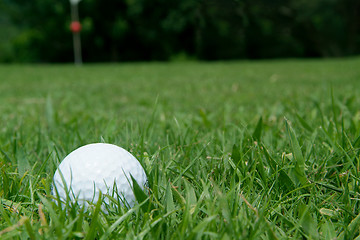 Image showing Golfball near green