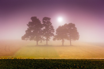 Image showing foggy sun