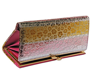 Image showing luxurious wallet  isolated 