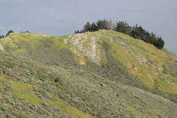 Image showing A hill by the ocean