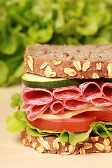 Image showing Salami Sandwich