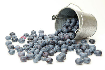 Image showing Blueberries