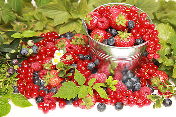 Image showing Berries