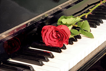 Image showing rose on piano key