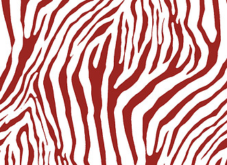 Image showing zebra as pattern