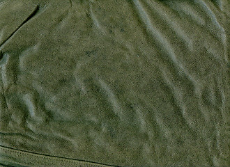 Image showing  leather of animal as background