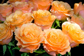 Image showing bouquet of  roses