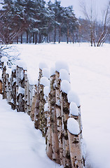 Image showing Fence