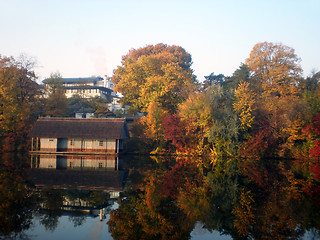 Image showing Autumn